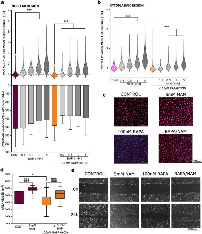 https://cdn.ncbi.nlm.nih.gov/pmc/blobs/cff8/9816236/c4b8cea64c40/204_2022_3375_Fig6_HTML.jpg
