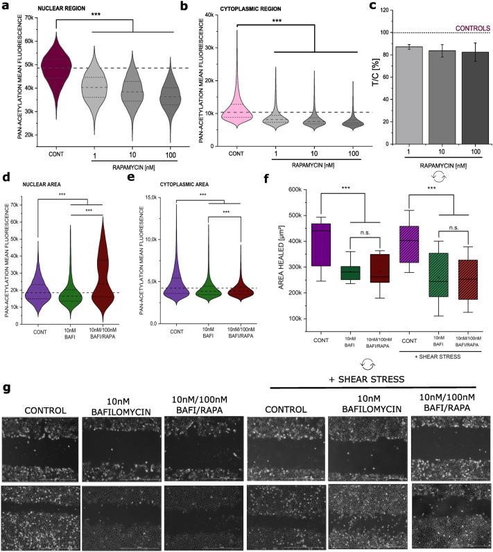 https://cdn.ncbi.nlm.nih.gov/pmc/blobs/cff8/9816236/e0da3482640f/204_2022_3375_Fig5_HTML.jpg