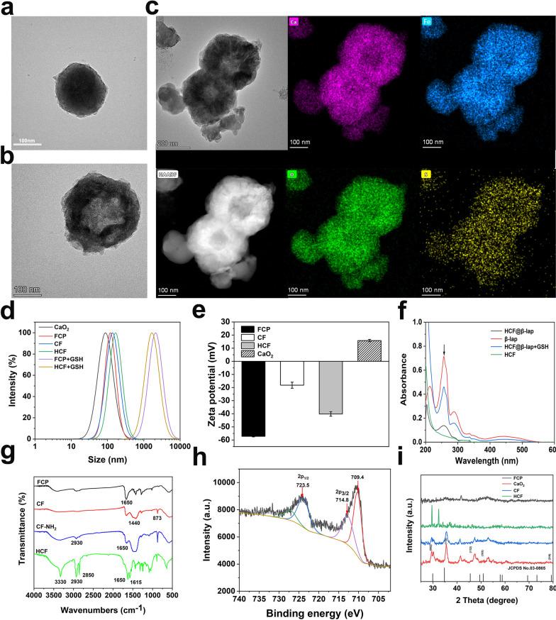 https://cdn.ncbi.nlm.nih.gov/pmc/blobs/cff9/10763286/513a88b324c7/12951_2023_2287_Fig2_HTML.jpg