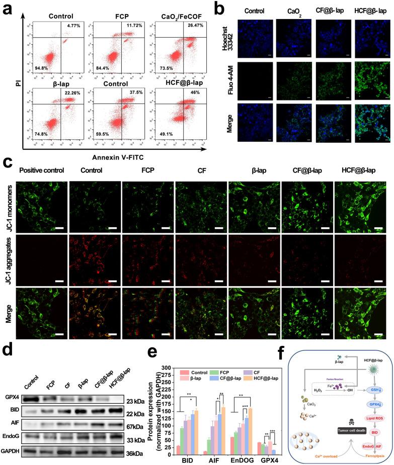 https://cdn.ncbi.nlm.nih.gov/pmc/blobs/cff9/10763286/788b58869f33/12951_2023_2287_Fig5_HTML.jpg