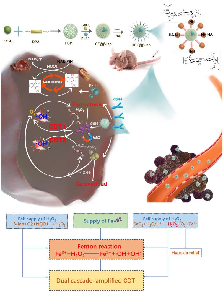 https://cdn.ncbi.nlm.nih.gov/pmc/blobs/cff9/10763286/98302431162c/12951_2023_2287_Fig1_HTML.jpg