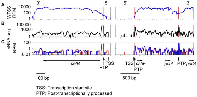 https://cdn.ncbi.nlm.nih.gov/pmc/blobs/cffa/5737564/dc60079ceaf3/gkx668fig1.jpg