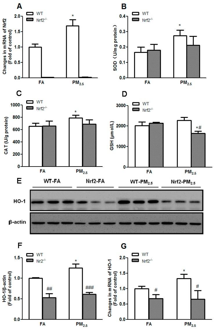 https://cdn.ncbi.nlm.nih.gov/pmc/blobs/cffb/5551225/22d0eff56545/ijerph-14-00787-g004.jpg