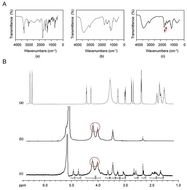 https://cdn.ncbi.nlm.nih.gov/pmc/blobs/cffc/5601715/1b7cc8c57771/oncotarget-08-59068-g001.jpg