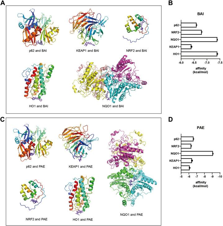 https://cdn.ncbi.nlm.nih.gov/pmc/blobs/cffd/9939528/8ad49d3c0cfd/fphar-14-1107507-g004.jpg