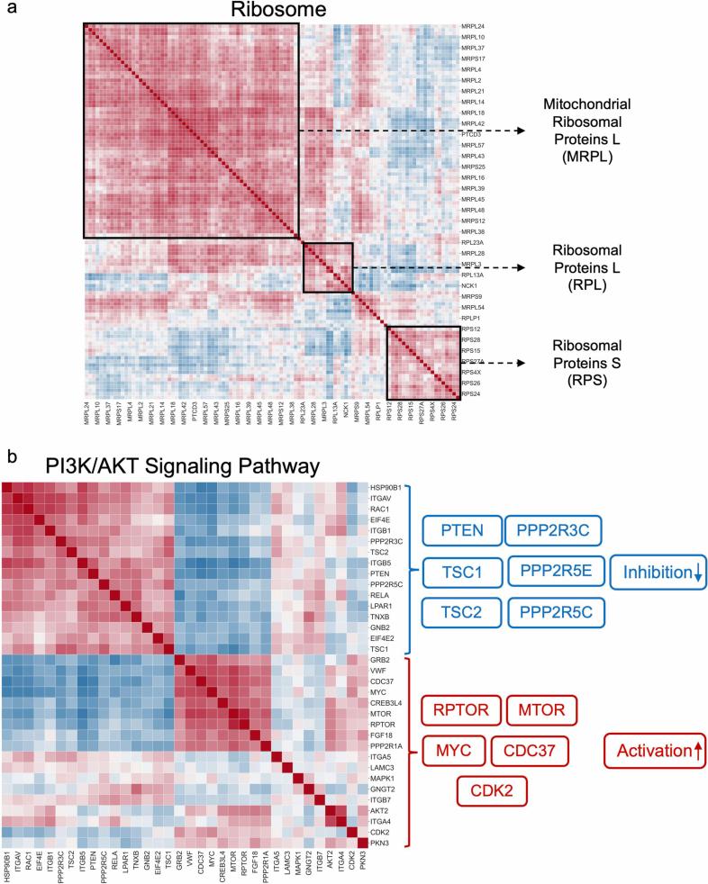 https://cdn.ncbi.nlm.nih.gov/pmc/blobs/cffe/11903339/edbe66bad99e/41592_2024_2537_Fig12_ESM.jpg