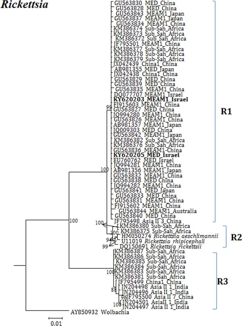 https://cdn.ncbi.nlm.nih.gov/pmc/blobs/cffe/6424426/7ec3347eb008/pone.0213946.g004.jpg