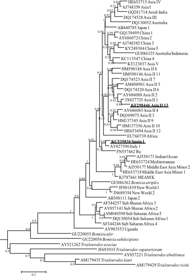 https://cdn.ncbi.nlm.nih.gov/pmc/blobs/cffe/6424426/add426d28c01/pone.0213946.g001.jpg