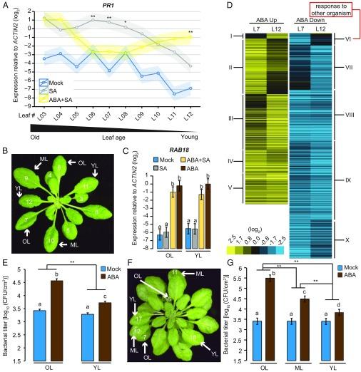 https://cdn.ncbi.nlm.nih.gov/pmc/blobs/cfff/6369802/1ae69864dcb2/pnas.1817233116fig01.jpg