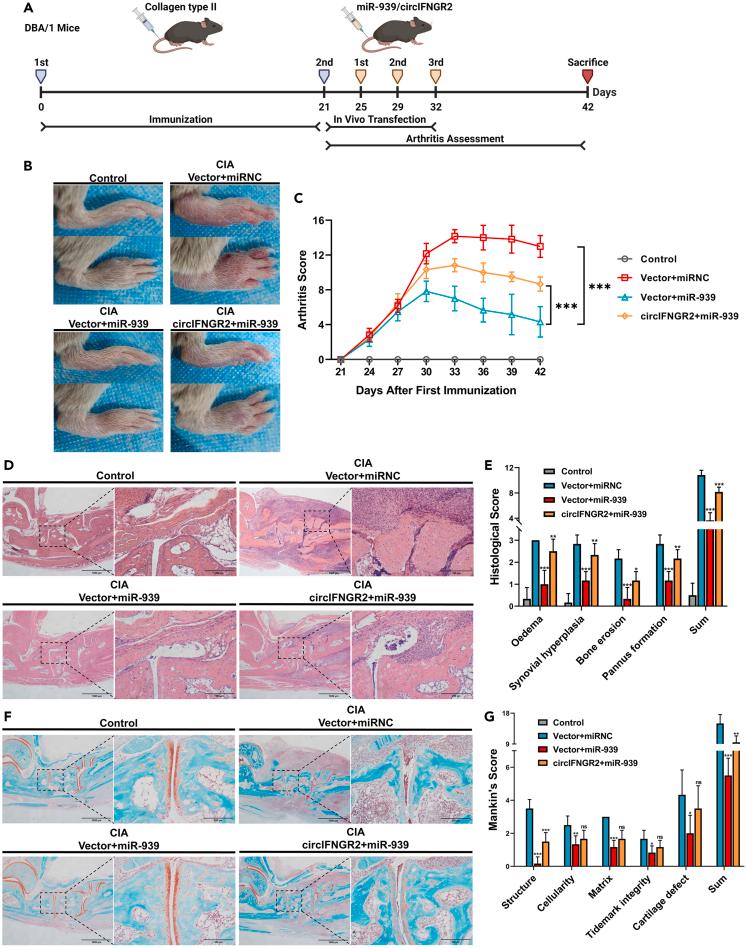 https://cdn.ncbi.nlm.nih.gov/pmc/blobs/d000/10372825/e36d7b52cc6a/gr6.jpg