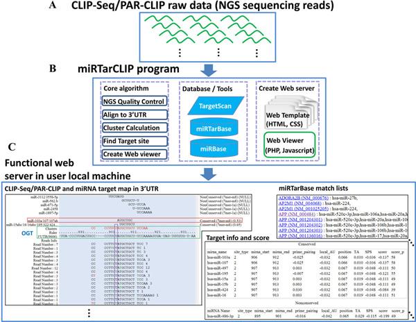 https://cdn.ncbi.nlm.nih.gov/pmc/blobs/d000/3549799/bbe395151e26/1471-2164-14-S1-S2-1.jpg