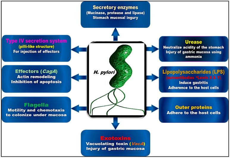 https://cdn.ncbi.nlm.nih.gov/pmc/blobs/d000/9952126/2ee3d1fcc9ad/antibiotics-12-00191-g001.jpg