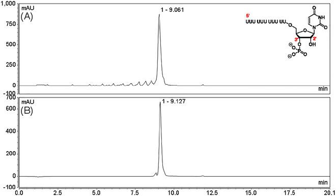 https://cdn.ncbi.nlm.nih.gov/pmc/blobs/d001/12330986/007f162602bc/CPZ1-5-0-g018.jpg