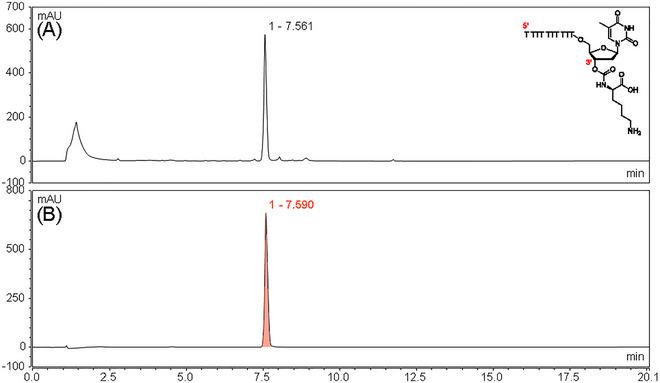 https://cdn.ncbi.nlm.nih.gov/pmc/blobs/d001/12330986/0854b289fc55/CPZ1-5-0-g011.jpg