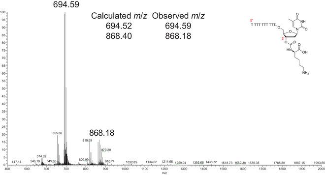 https://cdn.ncbi.nlm.nih.gov/pmc/blobs/d001/12330986/22d304965feb/CPZ1-5-0-g005.jpg