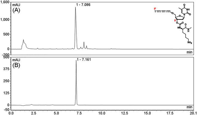https://cdn.ncbi.nlm.nih.gov/pmc/blobs/d001/12330986/53fdc4ab15b3/CPZ1-5-0-g002.jpg