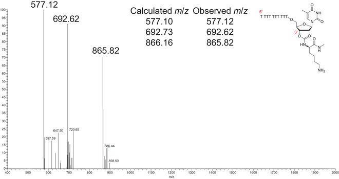https://cdn.ncbi.nlm.nih.gov/pmc/blobs/d001/12330986/9fa85a736645/CPZ1-5-0-g012.jpg