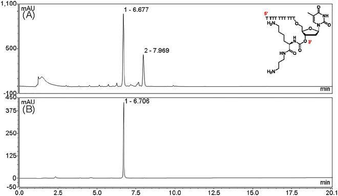 https://cdn.ncbi.nlm.nih.gov/pmc/blobs/d001/12330986/a129eb63b61c/CPZ1-5-0-g017.jpg