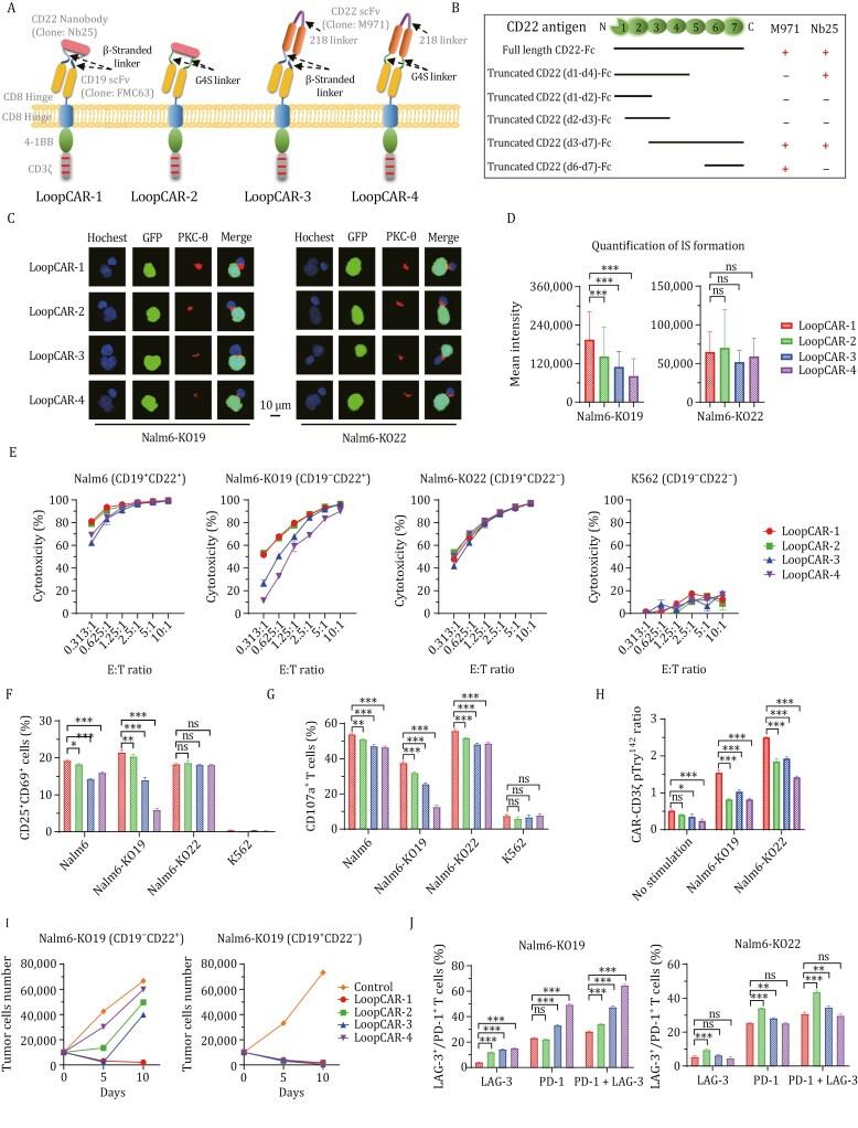 https://cdn.ncbi.nlm.nih.gov/pmc/blobs/d003/11891134/b918fcc5382f/pwae034_fig1.jpg
