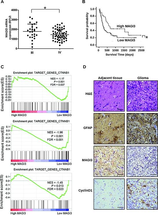 https://cdn.ncbi.nlm.nih.gov/pmc/blobs/d003/4742146/031cc86356fd/oncotarget-06-35851-g007.jpg