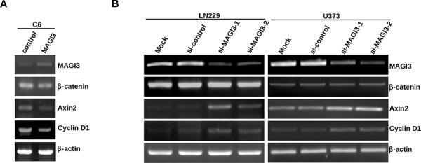 https://cdn.ncbi.nlm.nih.gov/pmc/blobs/d003/4742146/5b961637ea11/oncotarget-06-35851-g005.jpg