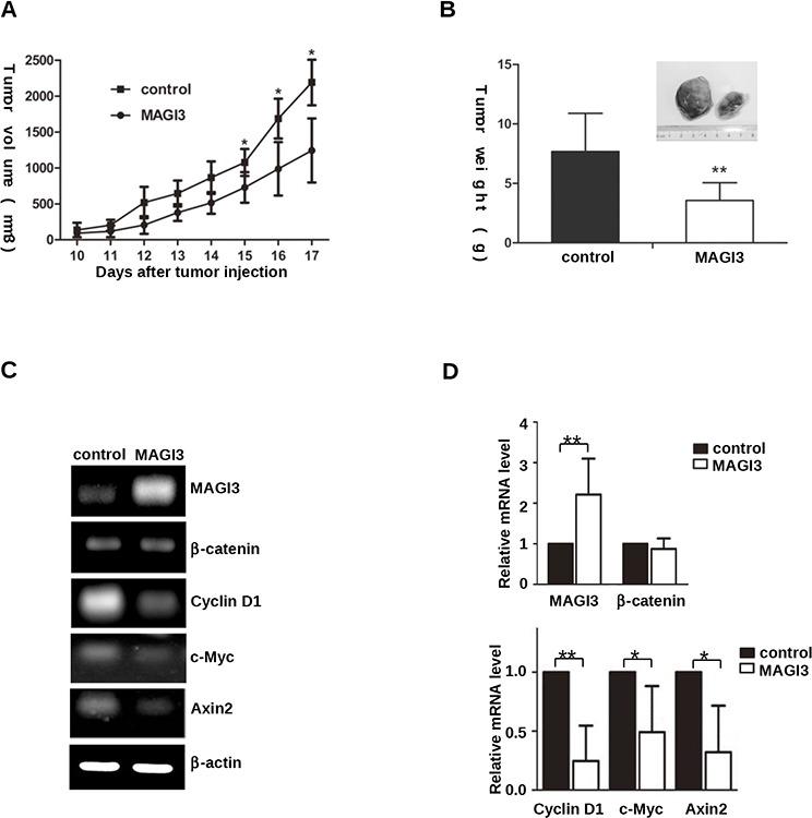 https://cdn.ncbi.nlm.nih.gov/pmc/blobs/d003/4742146/7c53de4eb2e7/oncotarget-06-35851-g006.jpg