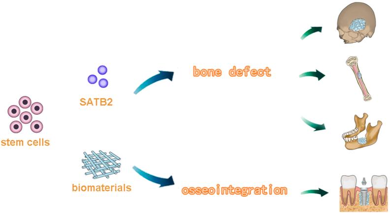 https://cdn.ncbi.nlm.nih.gov/pmc/blobs/d003/8720659/89d344c86cfb/gr3.jpg