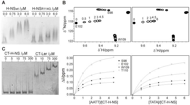 https://cdn.ncbi.nlm.nih.gov/pmc/blobs/d006/3219716/f32ffbf93d2c/ppat.1002380.g008.jpg