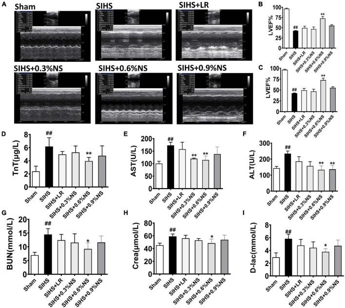 https://cdn.ncbi.nlm.nih.gov/pmc/blobs/d006/8854799/0c315c0ea07c/fphys-13-827838-g006.jpg