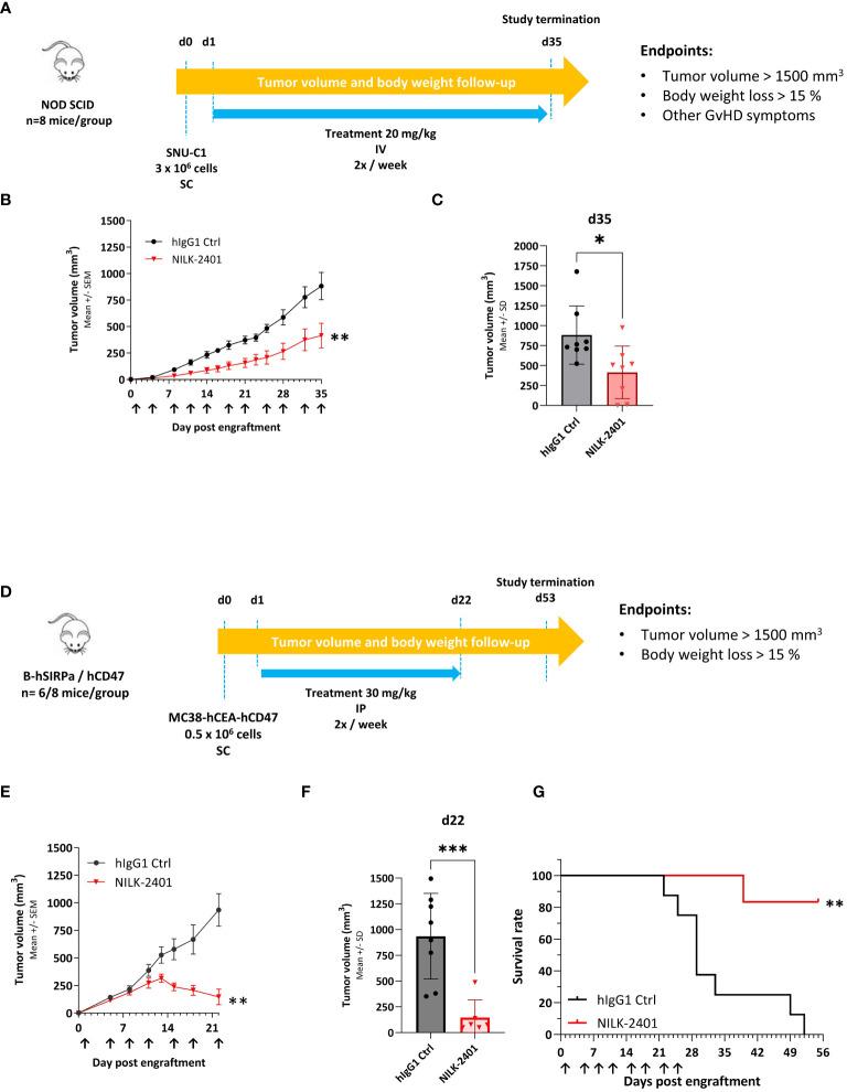 https://cdn.ncbi.nlm.nih.gov/pmc/blobs/d007/11076849/3a6069339c18/fimmu-15-1378813-g006.jpg