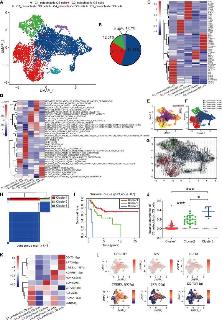 https://cdn.ncbi.nlm.nih.gov/pmc/blobs/d008/8335545/74597b8ba6ed/fonc-11-709210-g002.jpg