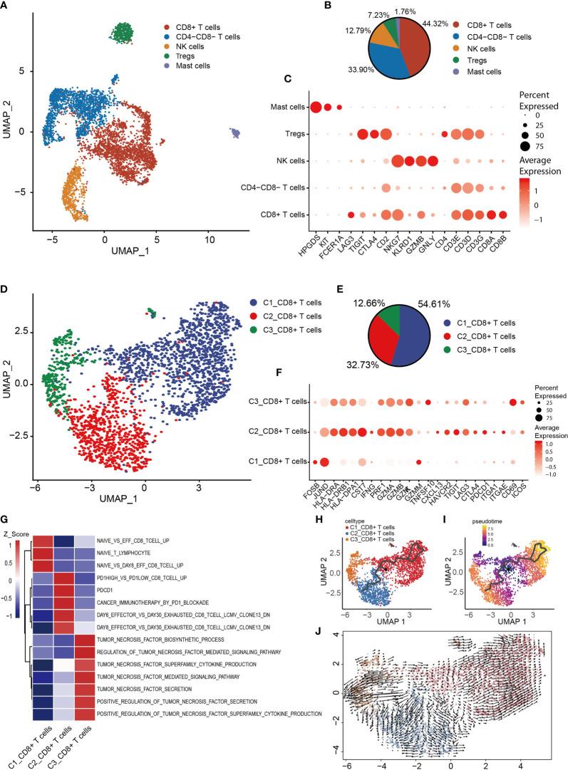 https://cdn.ncbi.nlm.nih.gov/pmc/blobs/d008/8335545/aa2a14be2748/fonc-11-709210-g006.jpg