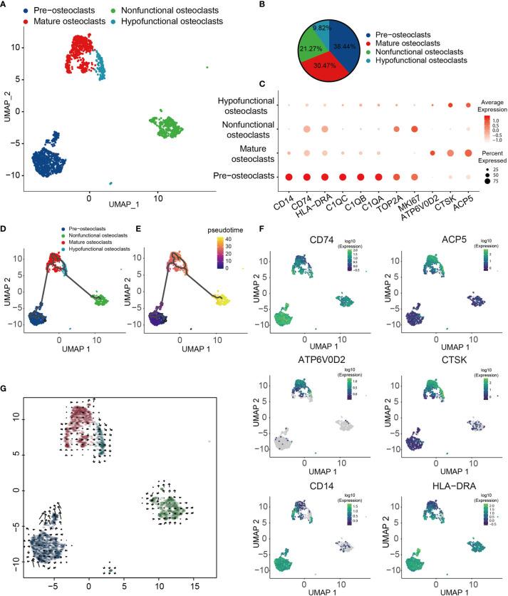 https://cdn.ncbi.nlm.nih.gov/pmc/blobs/d008/8335545/fbf7cb85ee95/fonc-11-709210-g003.jpg