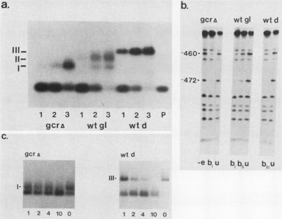 https://cdn.ncbi.nlm.nih.gov/pmc/blobs/d009/361099/45dff8ad1d58/molcellb00045-0441-a.jpg