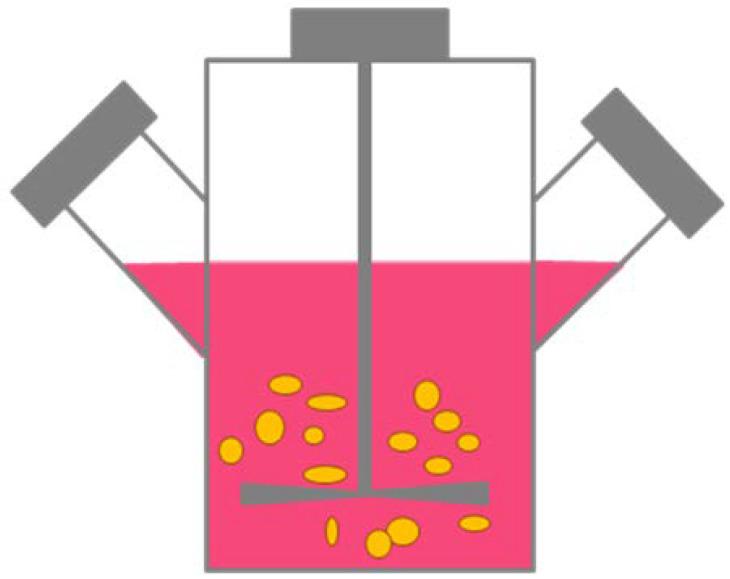 https://cdn.ncbi.nlm.nih.gov/pmc/blobs/d00a/7503223/8de1b5aaa124/ijms-21-06225-g003.jpg