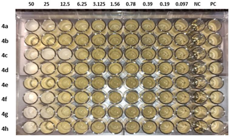https://cdn.ncbi.nlm.nih.gov/pmc/blobs/d00c/10095758/d6651f1fe691/molecules-28-03118-g005.jpg