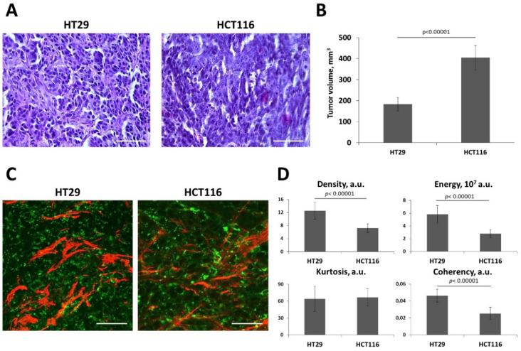https://cdn.ncbi.nlm.nih.gov/pmc/blobs/d00c/7662237/9d3b49c70302/ijms-21-08119-g006.jpg