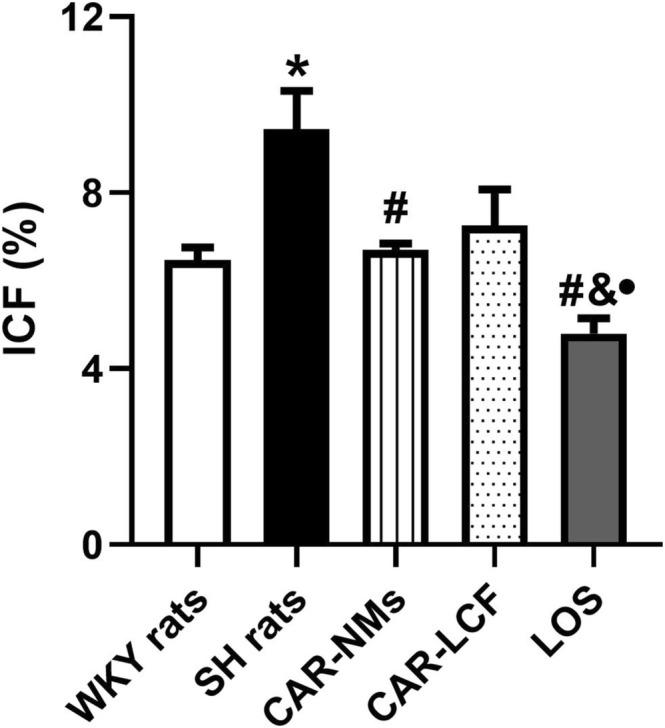 https://cdn.ncbi.nlm.nih.gov/pmc/blobs/d010/12127884/dd27fad1e161/PRP2-13-e70125-g001.jpg