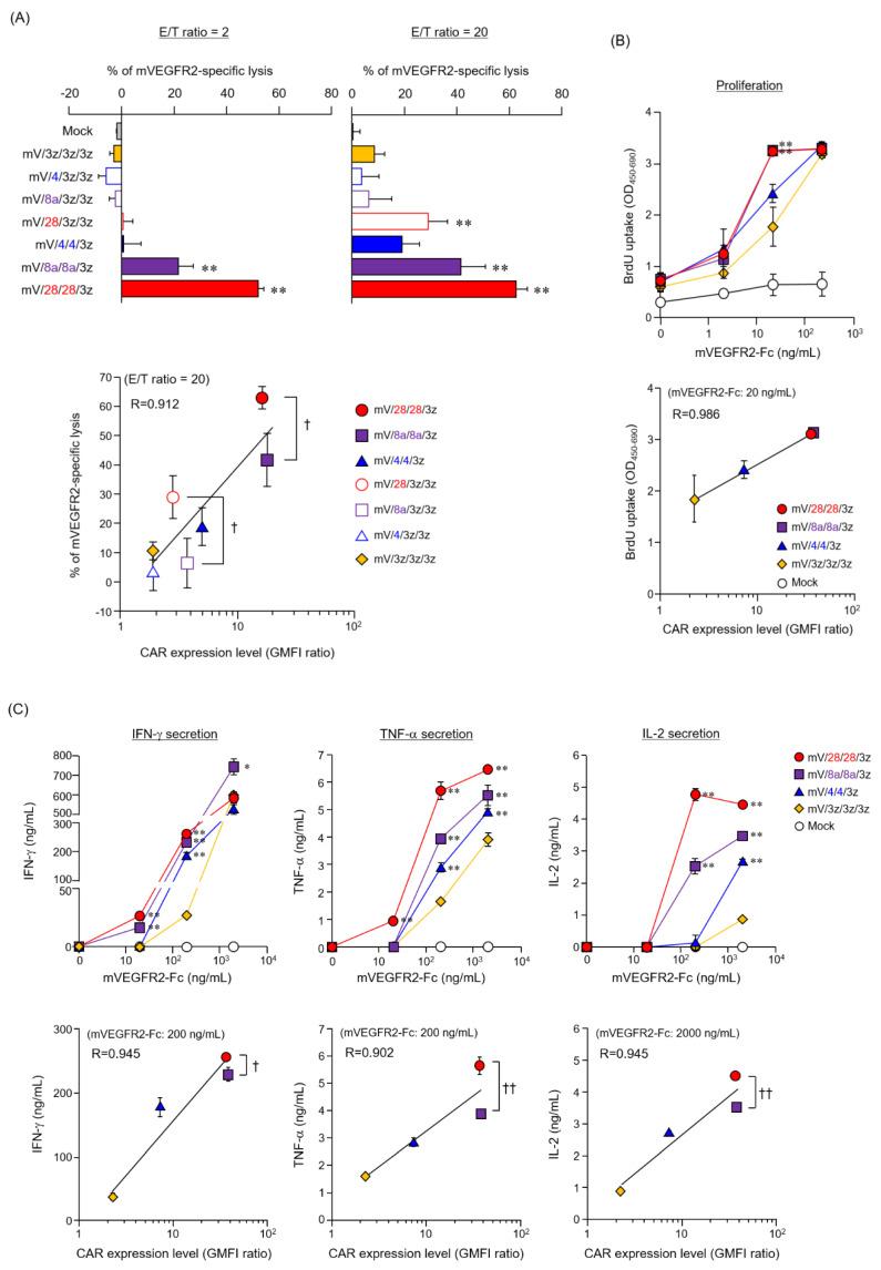 https://cdn.ncbi.nlm.nih.gov/pmc/blobs/d010/7291079/e9d3f52677c2/cells-09-01182-g003.jpg