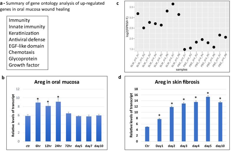 https://cdn.ncbi.nlm.nih.gov/pmc/blobs/d010/7903615/e0c6b9e0e04c/13578_2021_553_Fig1_HTML.jpg
