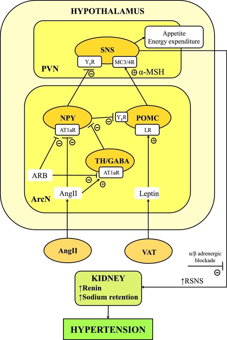 https://cdn.ncbi.nlm.nih.gov/pmc/blobs/d011/10768772/896df0d04eb9/sfad282fig3.jpg
