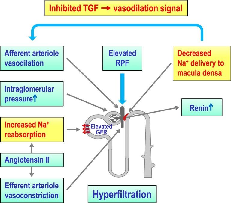 https://cdn.ncbi.nlm.nih.gov/pmc/blobs/d011/10768772/af63b1b60016/sfad282fig2.jpg