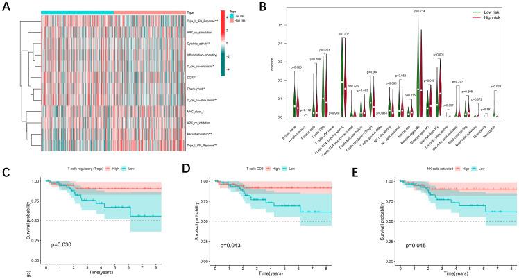 https://cdn.ncbi.nlm.nih.gov/pmc/blobs/d011/11808162/7a95cd2592da/fimmu-16-1492541-g006.jpg