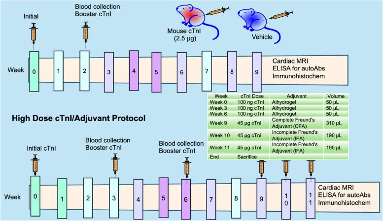 https://cdn.ncbi.nlm.nih.gov/pmc/blobs/d012/11816743/2536dad77d02/40959_2025_315_Fig1_HTML.jpg