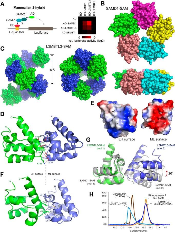 https://cdn.ncbi.nlm.nih.gov/pmc/blobs/d012/11969672/06f159e85a46/gkaf259fig1.jpg