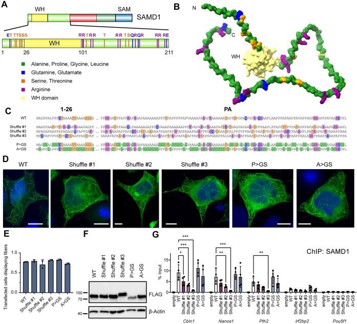https://cdn.ncbi.nlm.nih.gov/pmc/blobs/d012/11969672/b872ec530bf3/gkaf259fig6.jpg