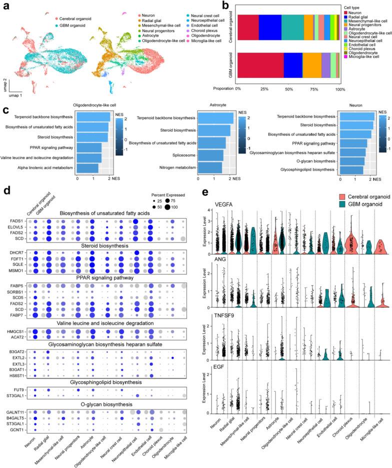 https://cdn.ncbi.nlm.nih.gov/pmc/blobs/d014/11520457/260fb0706406/40035_2024_446_Fig6_HTML.jpg
