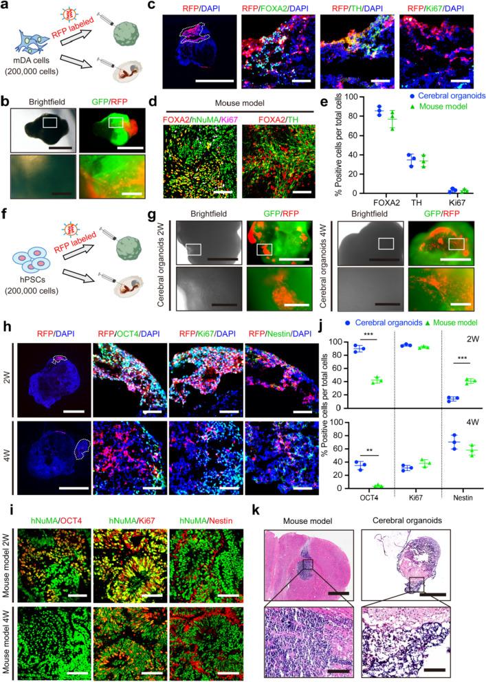 https://cdn.ncbi.nlm.nih.gov/pmc/blobs/d014/11520457/72945fbdc795/40035_2024_446_Fig2_HTML.jpg
