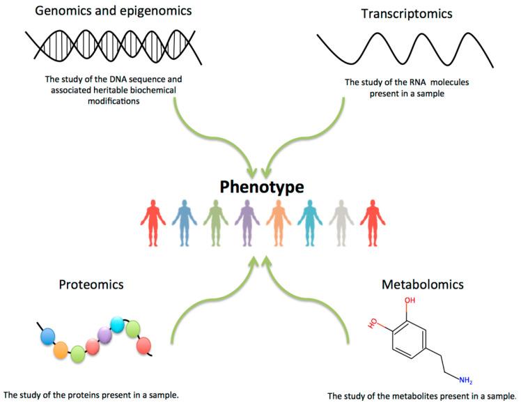 https://cdn.ncbi.nlm.nih.gov/pmc/blobs/d014/11765009/1b1f7c0330ea/diagnostics-15-00211-g012.jpg