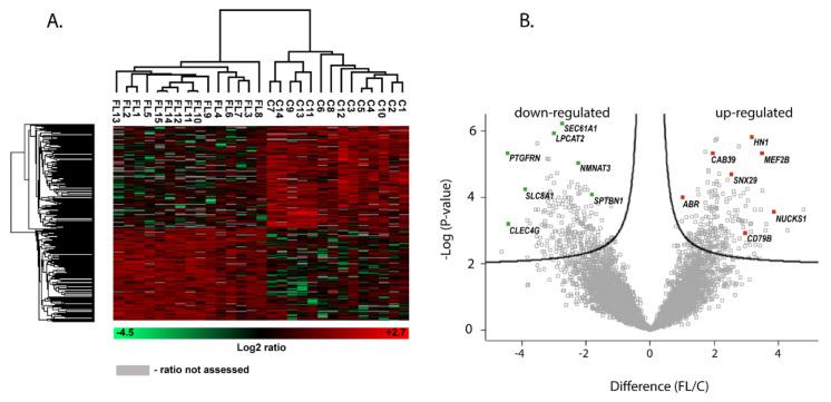 https://cdn.ncbi.nlm.nih.gov/pmc/blobs/d014/7915278/1da5c2b9b756/cancers-13-00630-g001.jpg